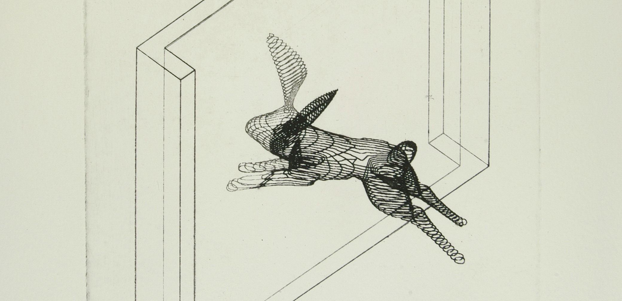Hare, etching, 15.5 x 23.5cm, 2004