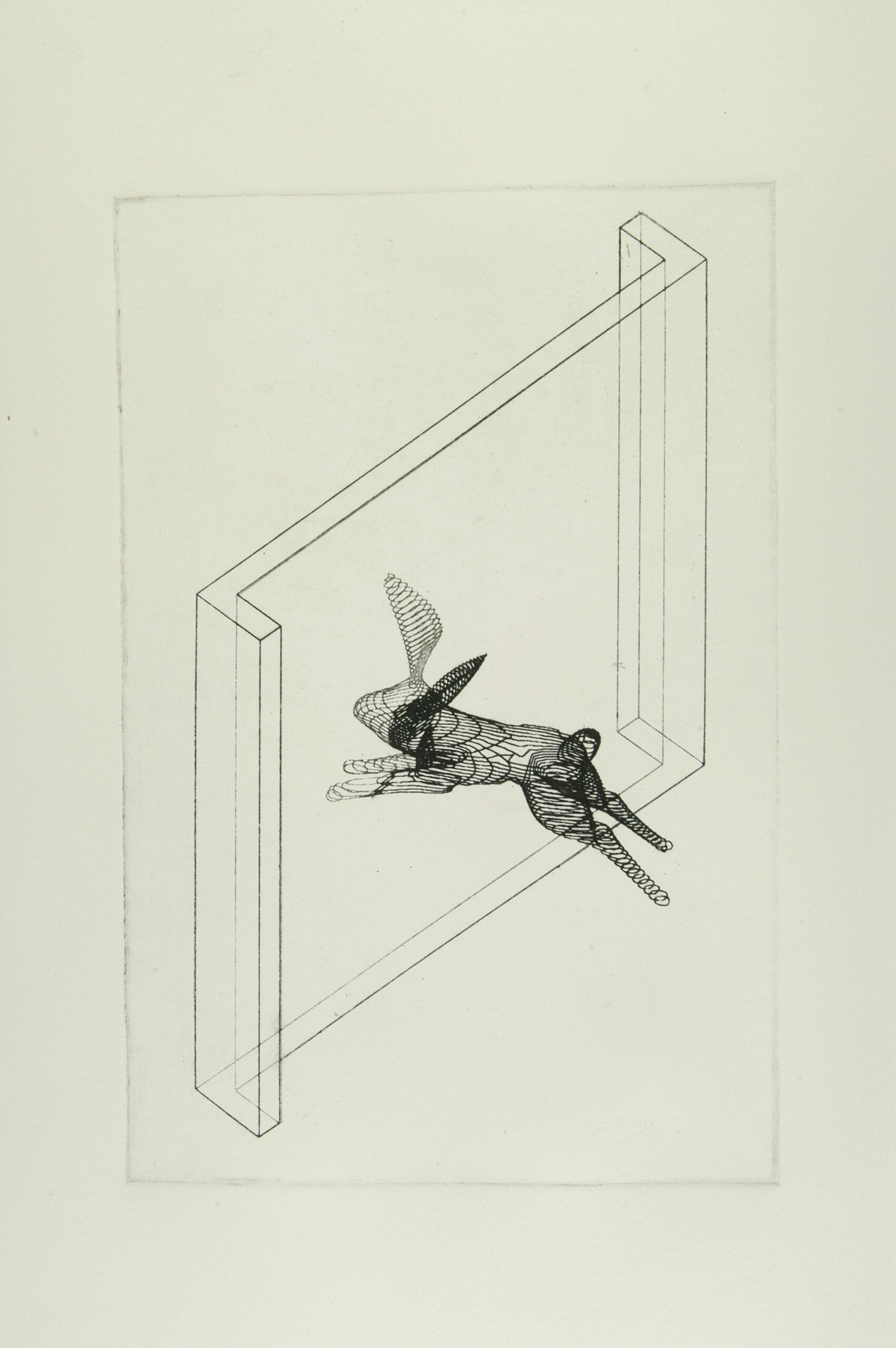 Hare, 2004