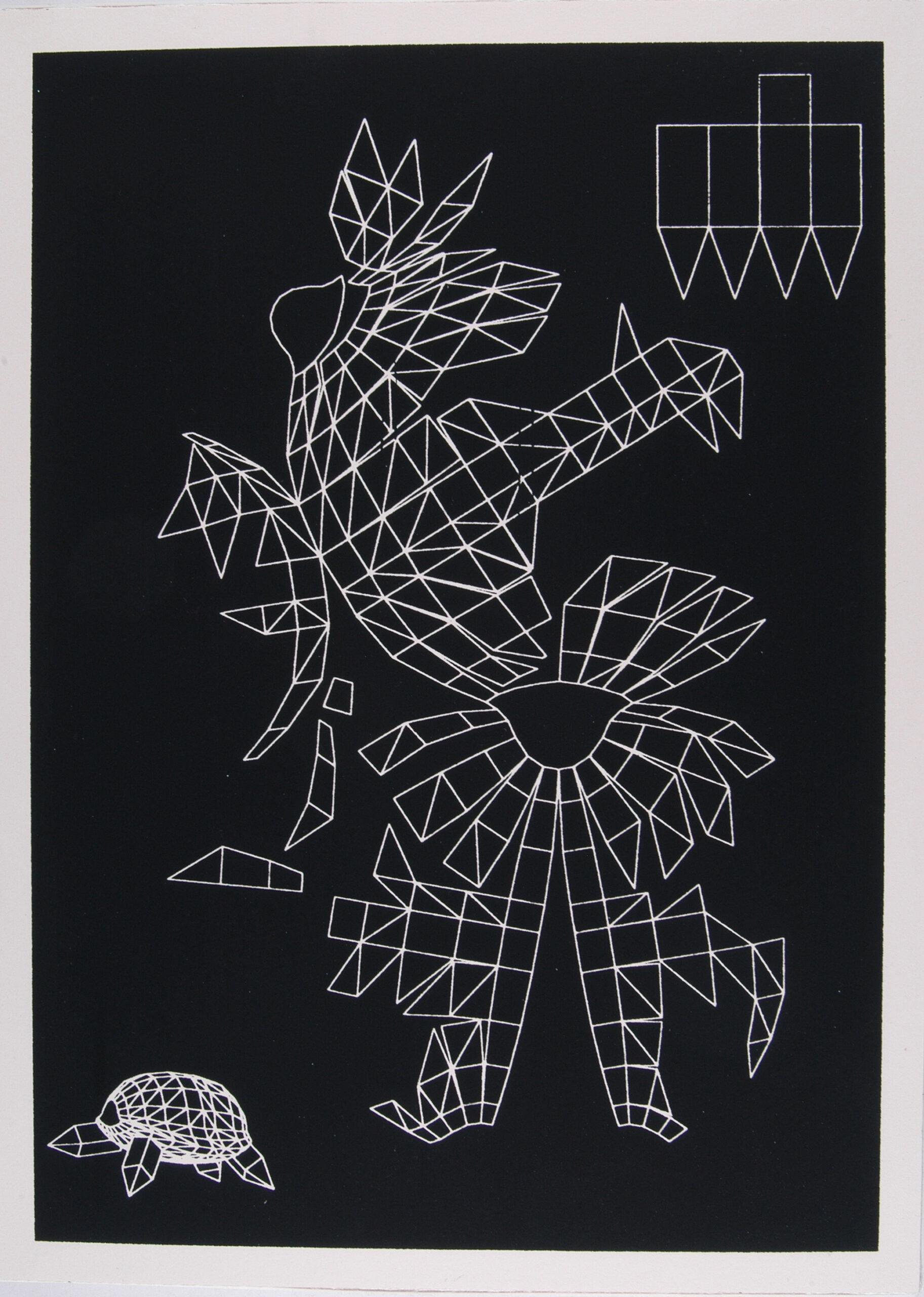 Tortoise Unfold, 2004