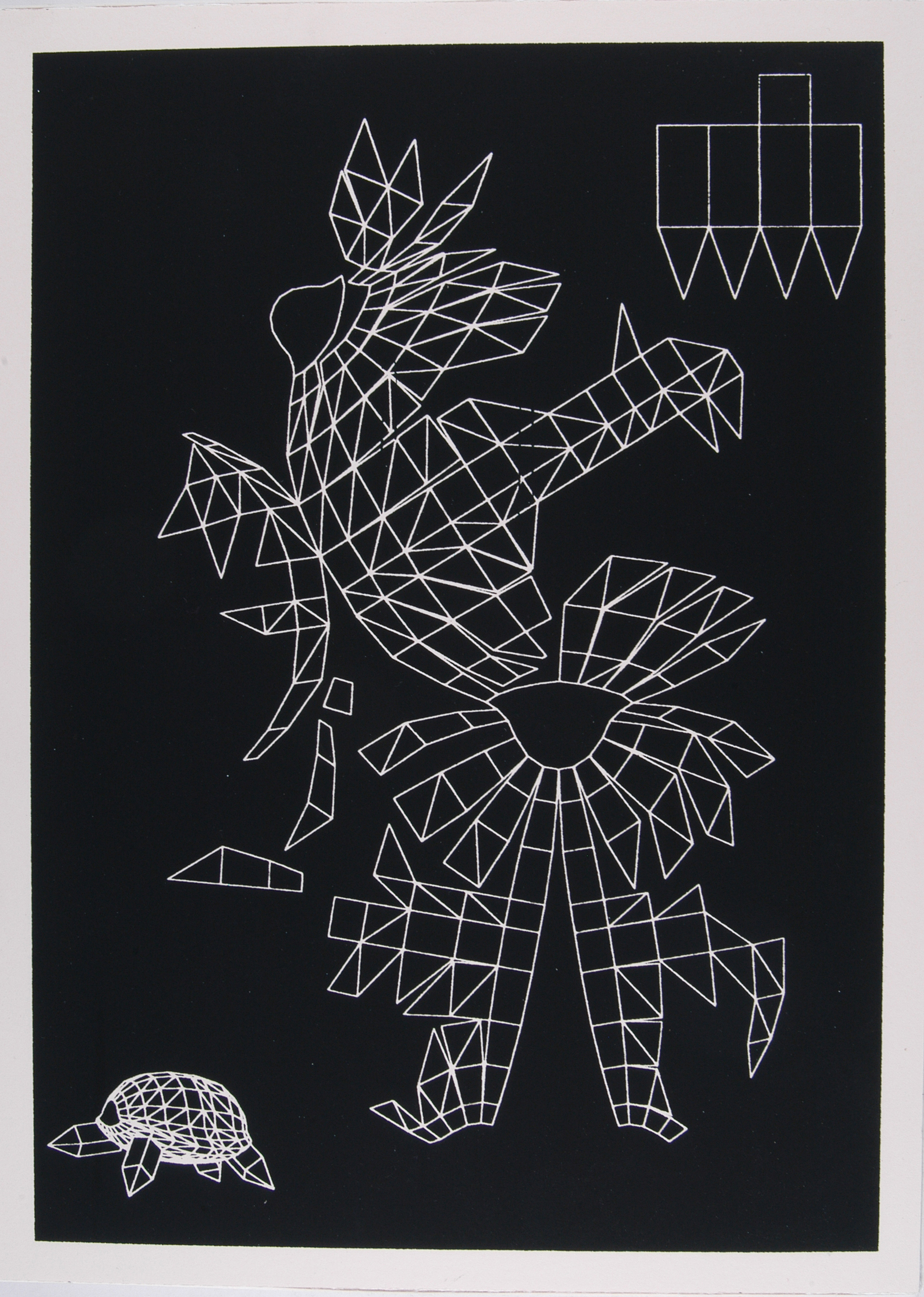 Tortoise Unfold, screenprint on boxed mount card, 22.5 x 31 x 3cm 2004